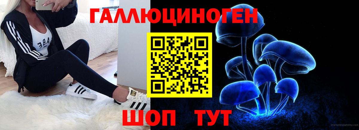 Галлюциногенные грибы мицелий  Вход с VPN  Гурьевск 